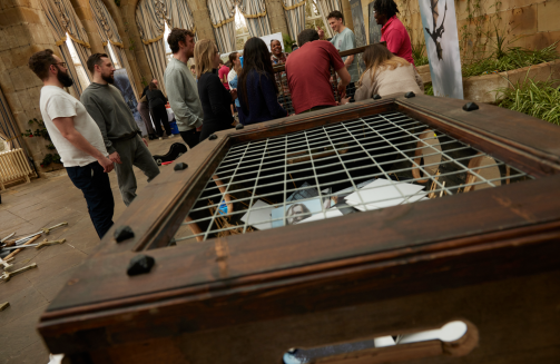 Game Your Thrones indoors wooden barrel'